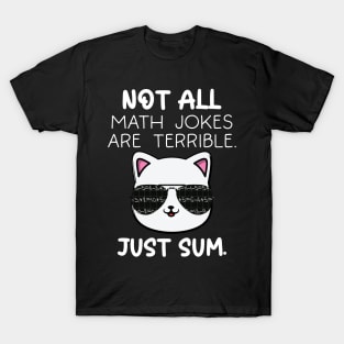 Not All Math Jokes Are Terrible Just Sum For Math Teachers T-Shirt